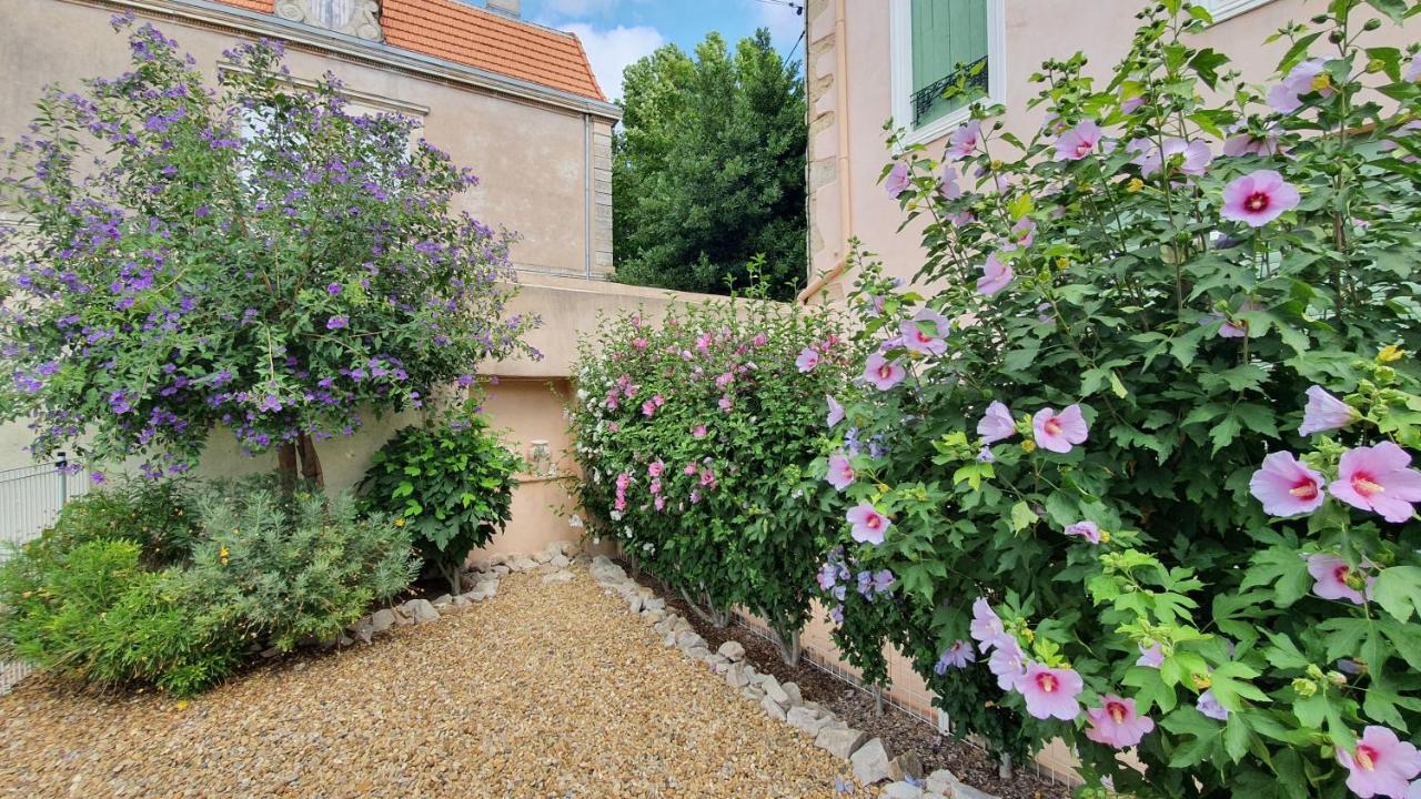 Gites "Tout Au Sud De La France" Pomérols Exterior foto